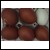 6 Black copper Marans 6 Olive egger chicks