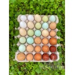 Greenfire Farms Rainbow Layer Collection
